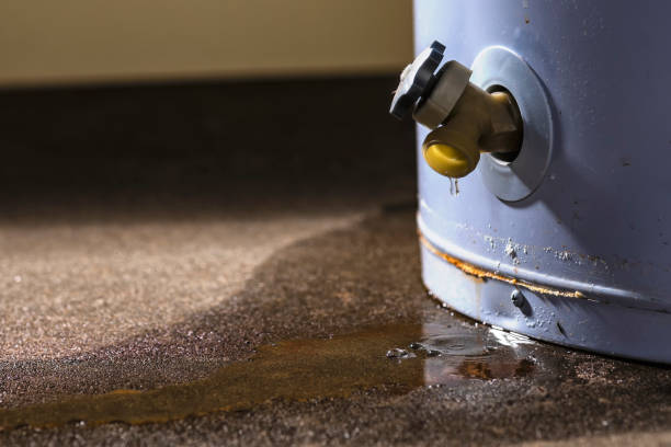 Best Fire Damage Restoration  in Woxall, PA