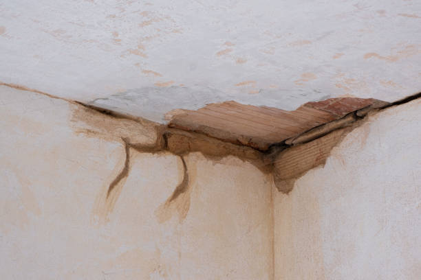 Best Mold removal after water damage  in Woxall, PA