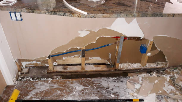 Best Ceiling water damage repair  in Woxall, PA